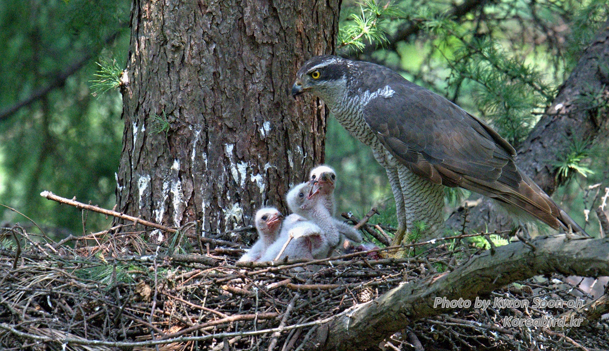DSC_5123-.jpg