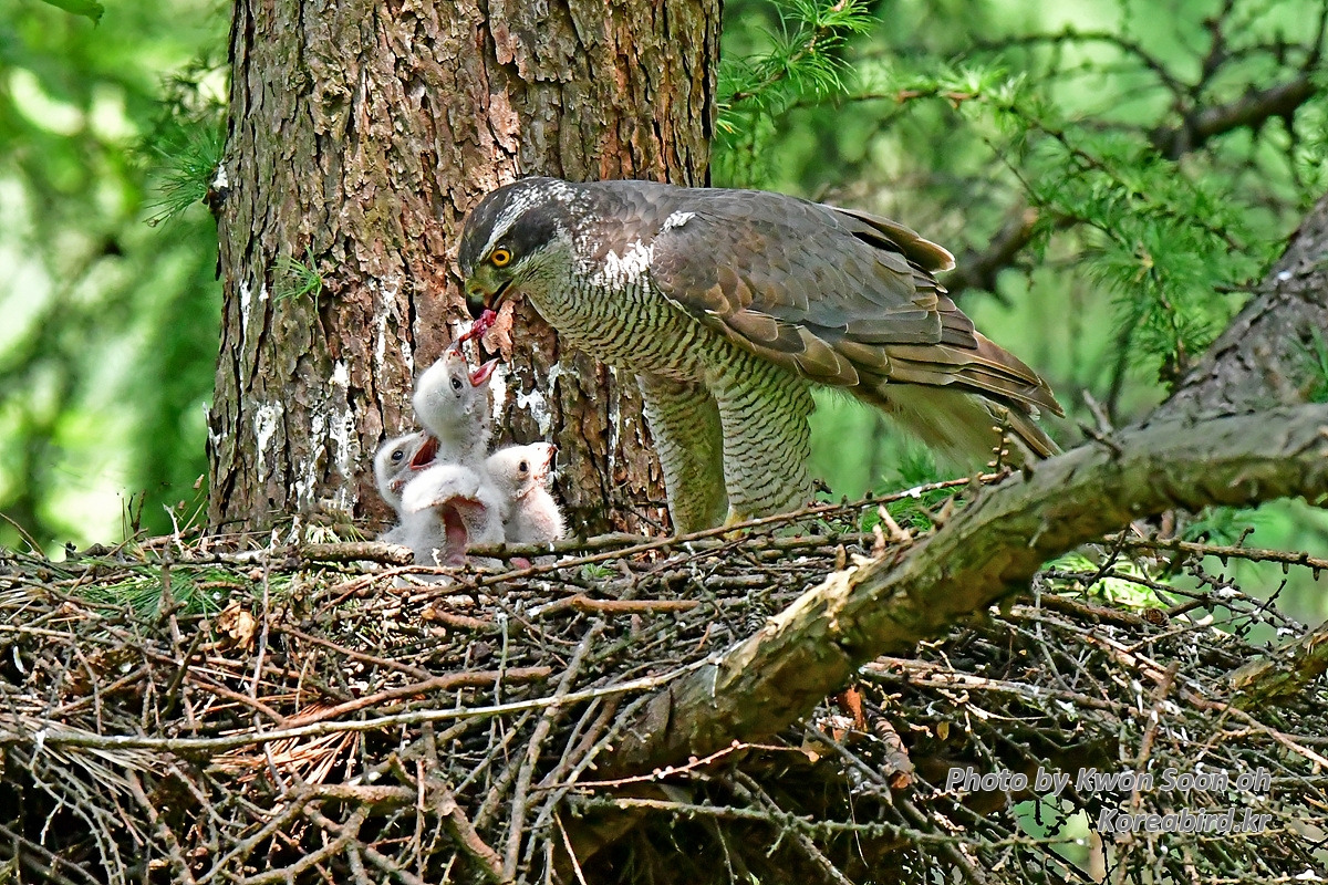 DSC_7288.jpg