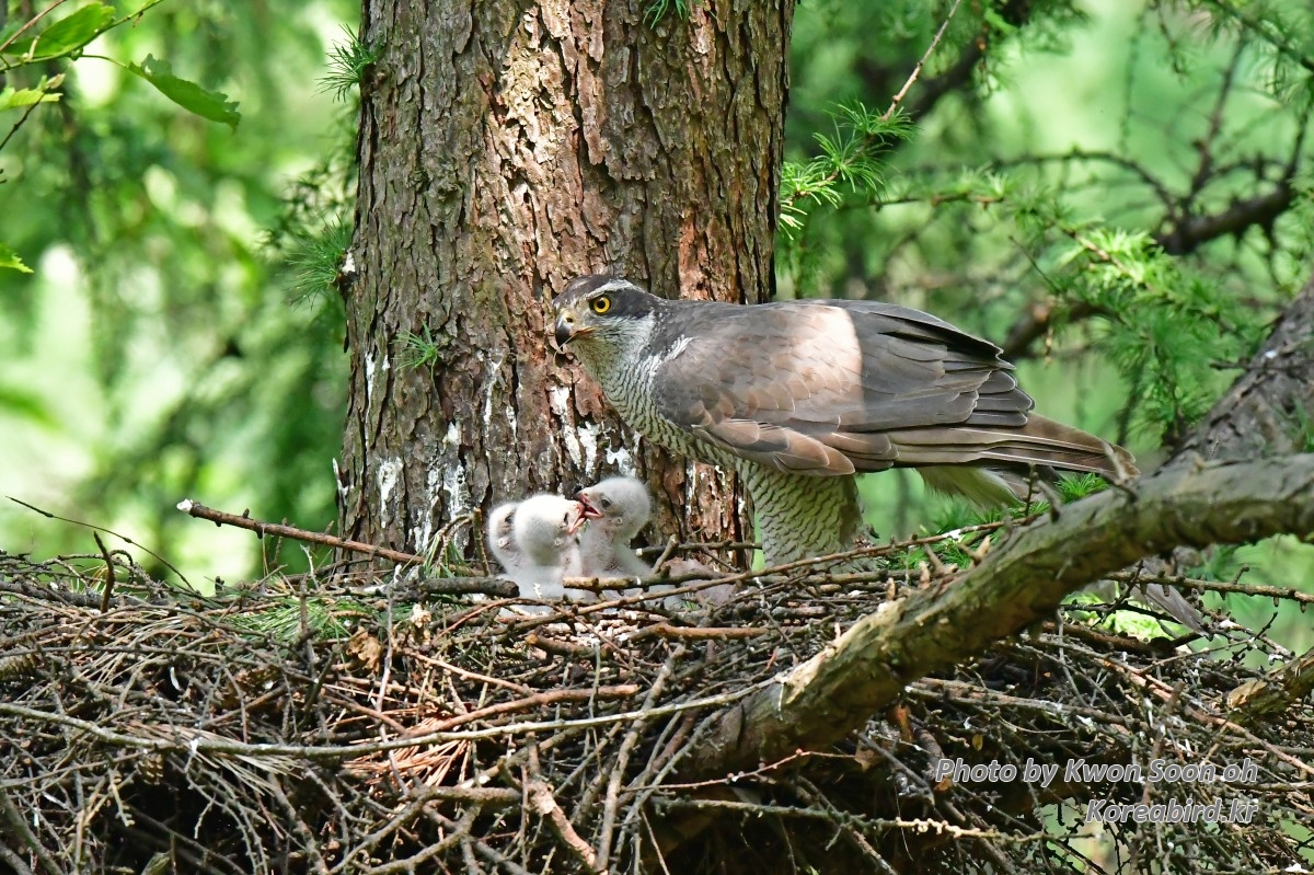 DSC_7178.jpg