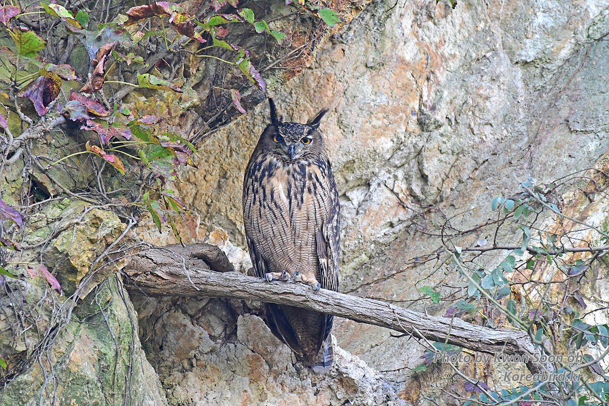 DSC_8206.jpg