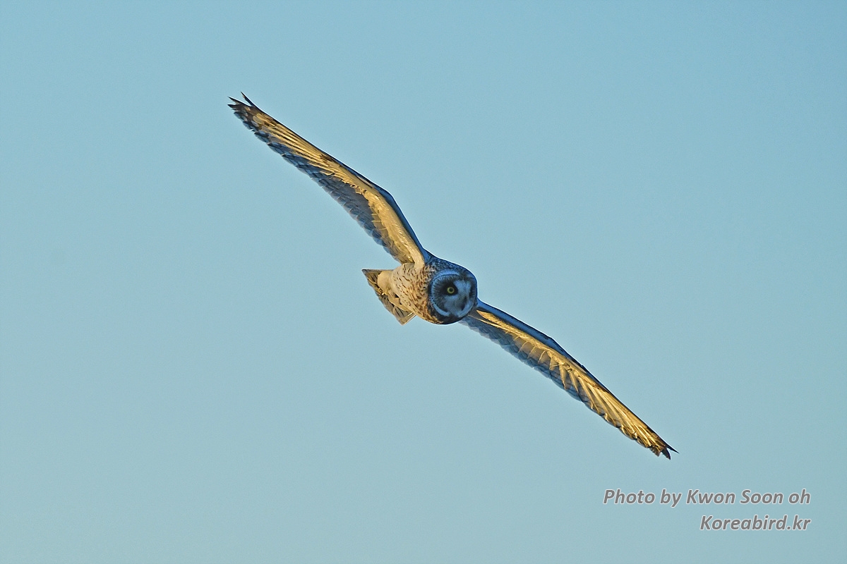 DSC_5089.jpg