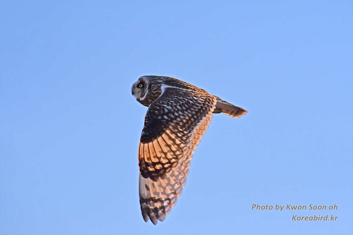 DSC_4061.jpg