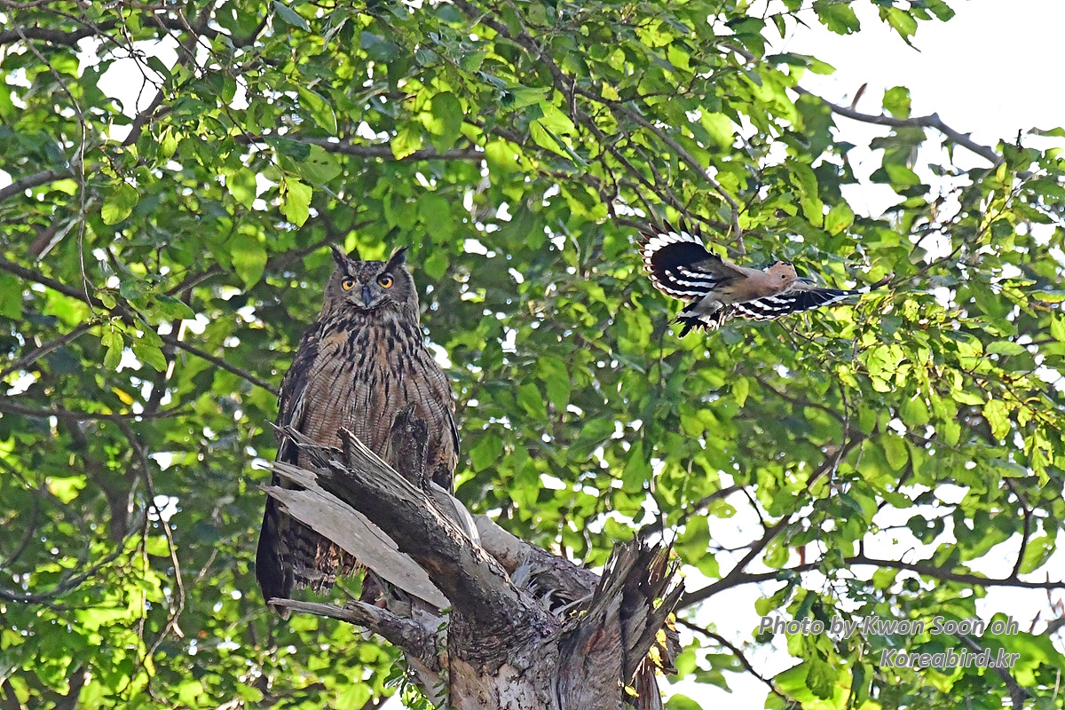 DSC_3763.jpg