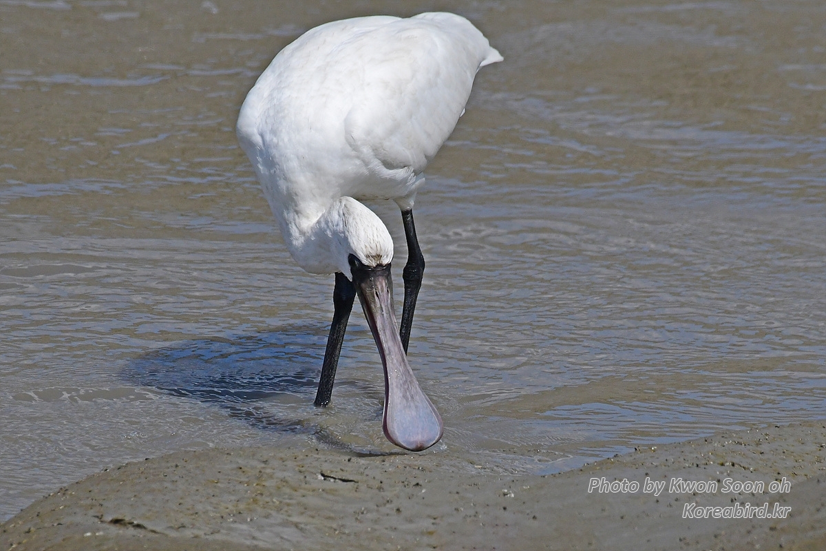 DSC_3828.jpg