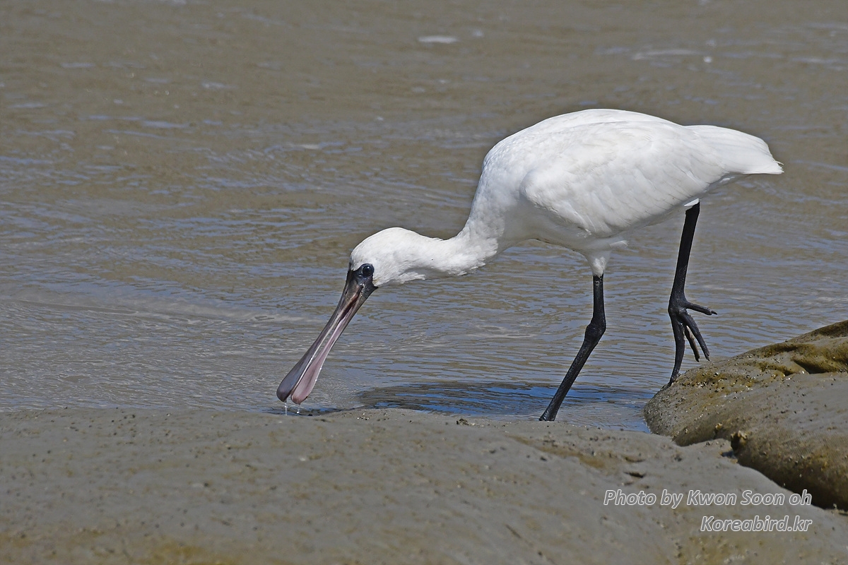 DSC_3794.jpg