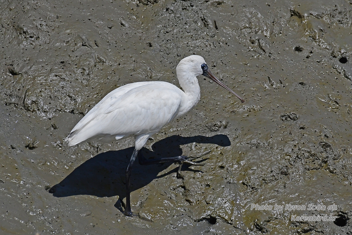 DSC_3922.jpg