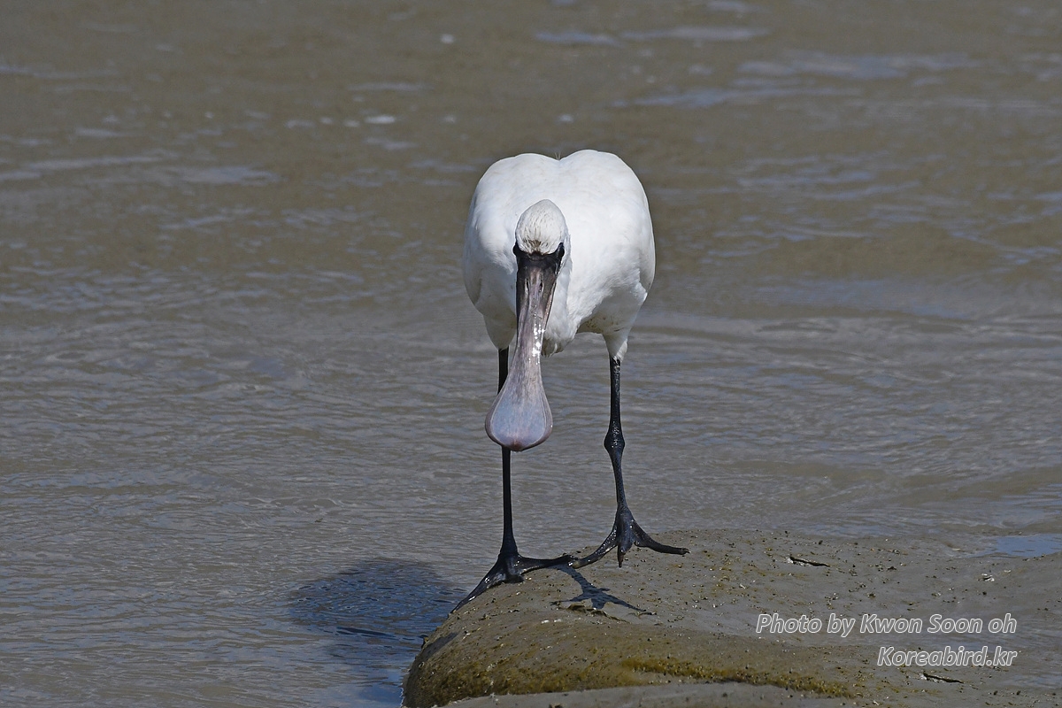 DSC_3861.jpg