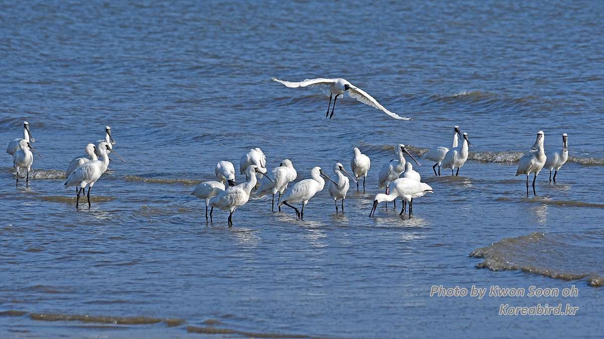 DSC_5345.jpg