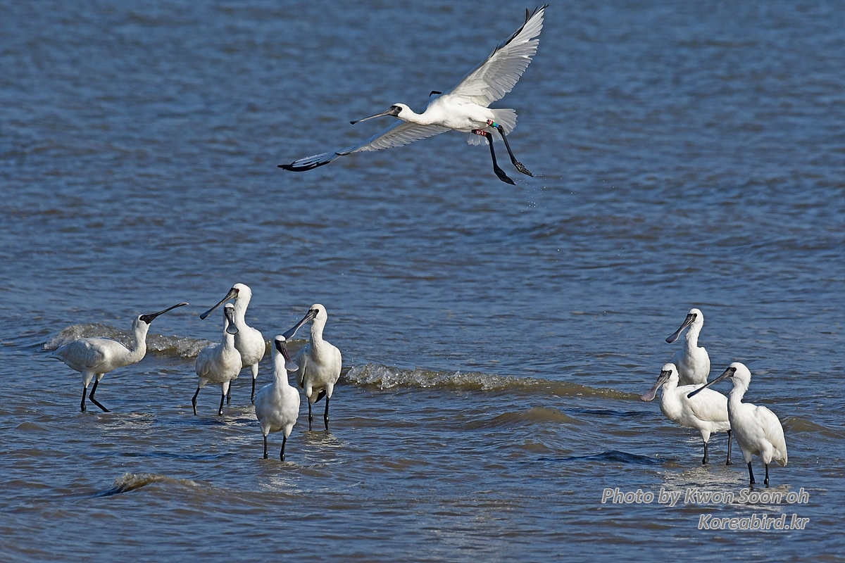 DSC_5422.jpg