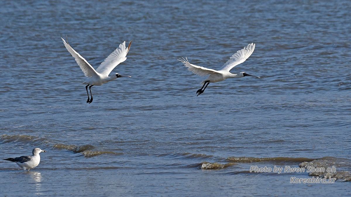 DSC_5349.jpg