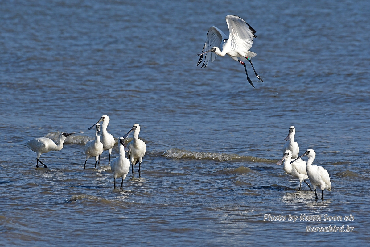 DSC_5421.jpg