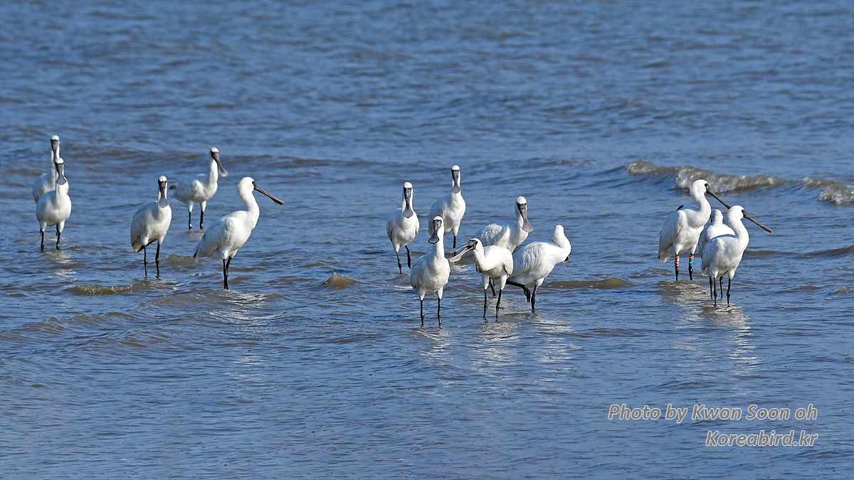 DSC_5367.jpg