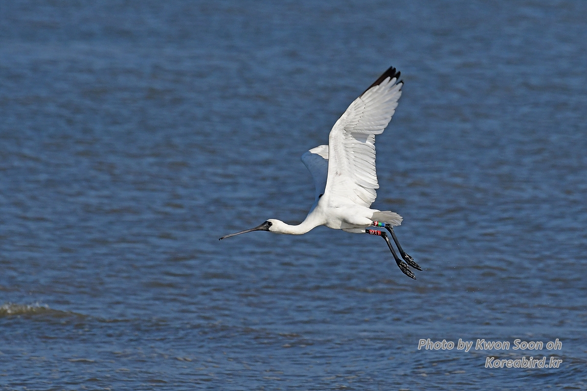 DSC_5426.jpg