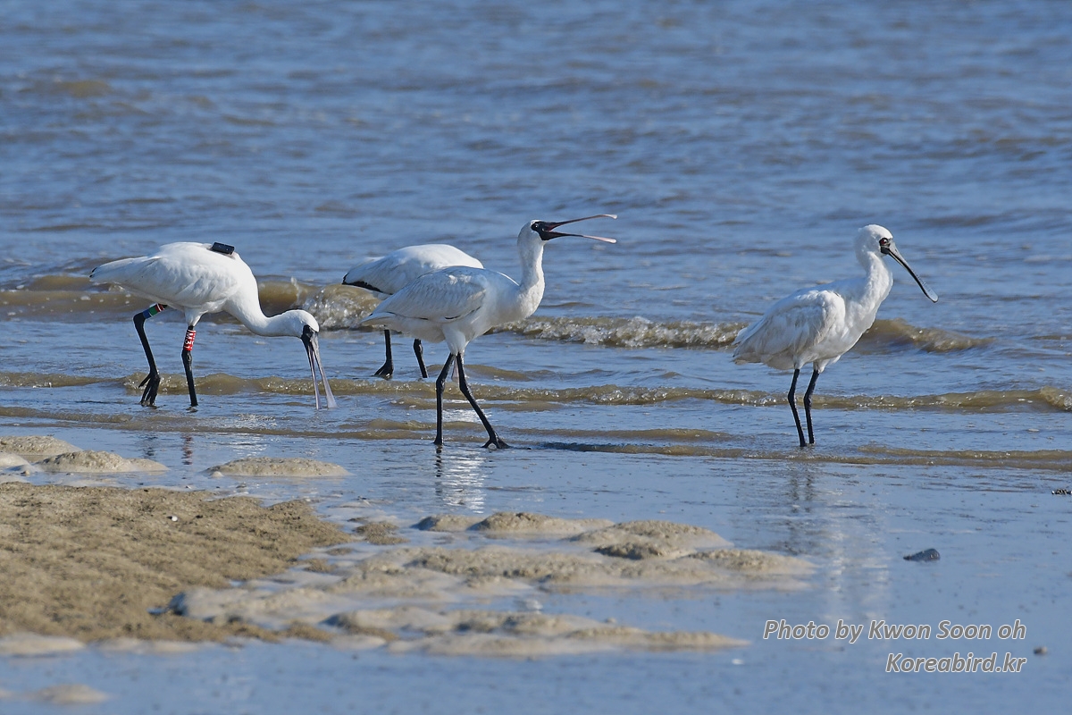 DSC_4911.jpg