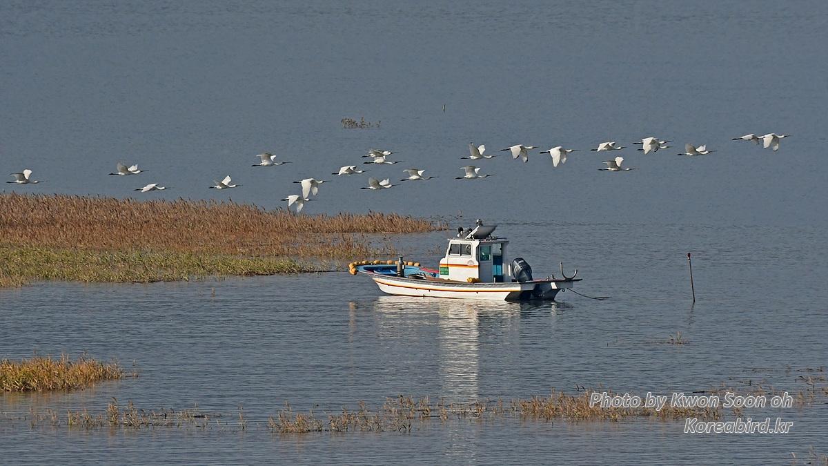 KSO_7453.jpg