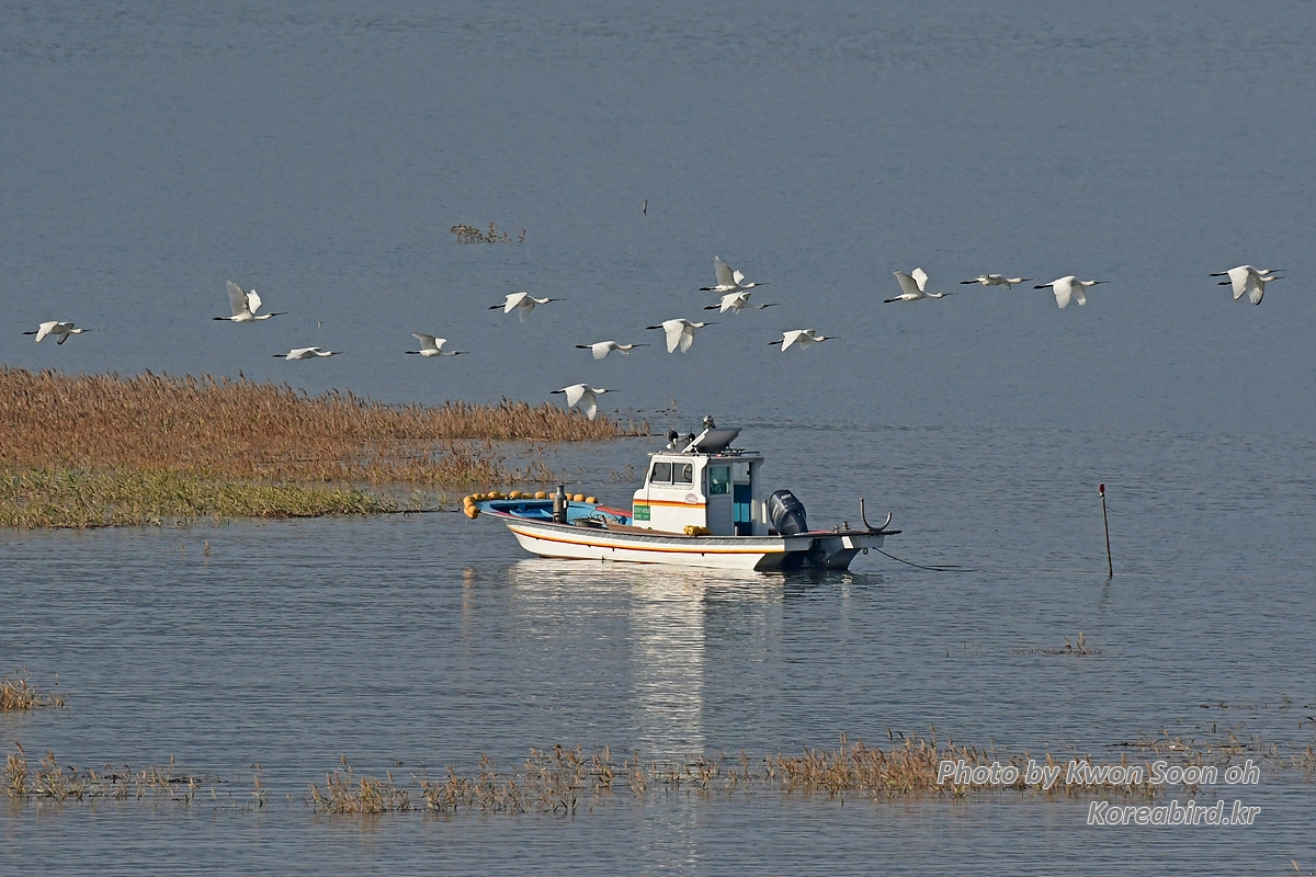 KSO_7455.jpg