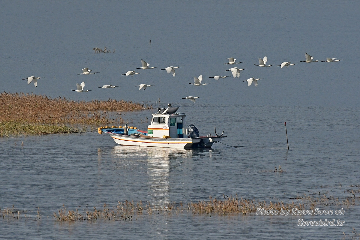 KSO_7456.jpg