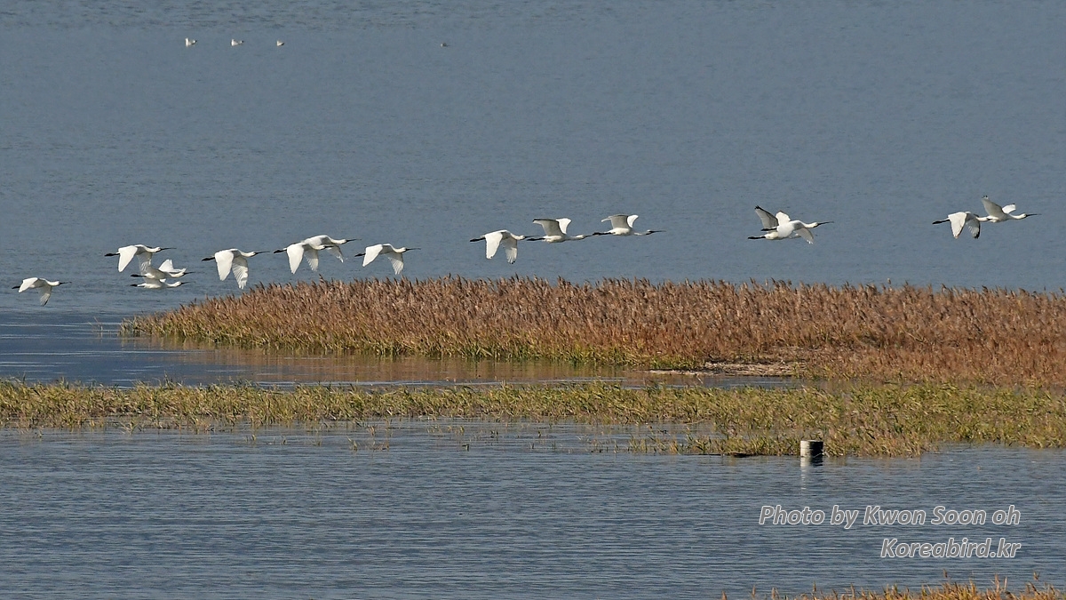 KSO_7444.jpg