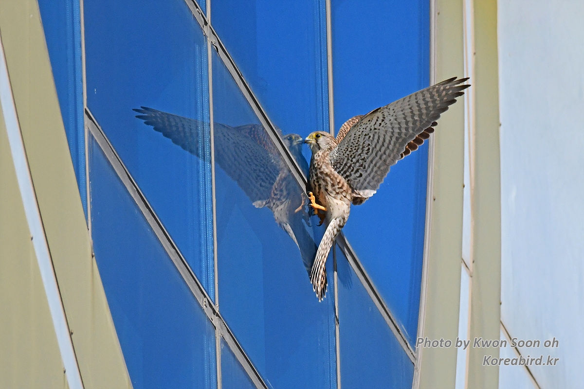DSC_8511.jpg