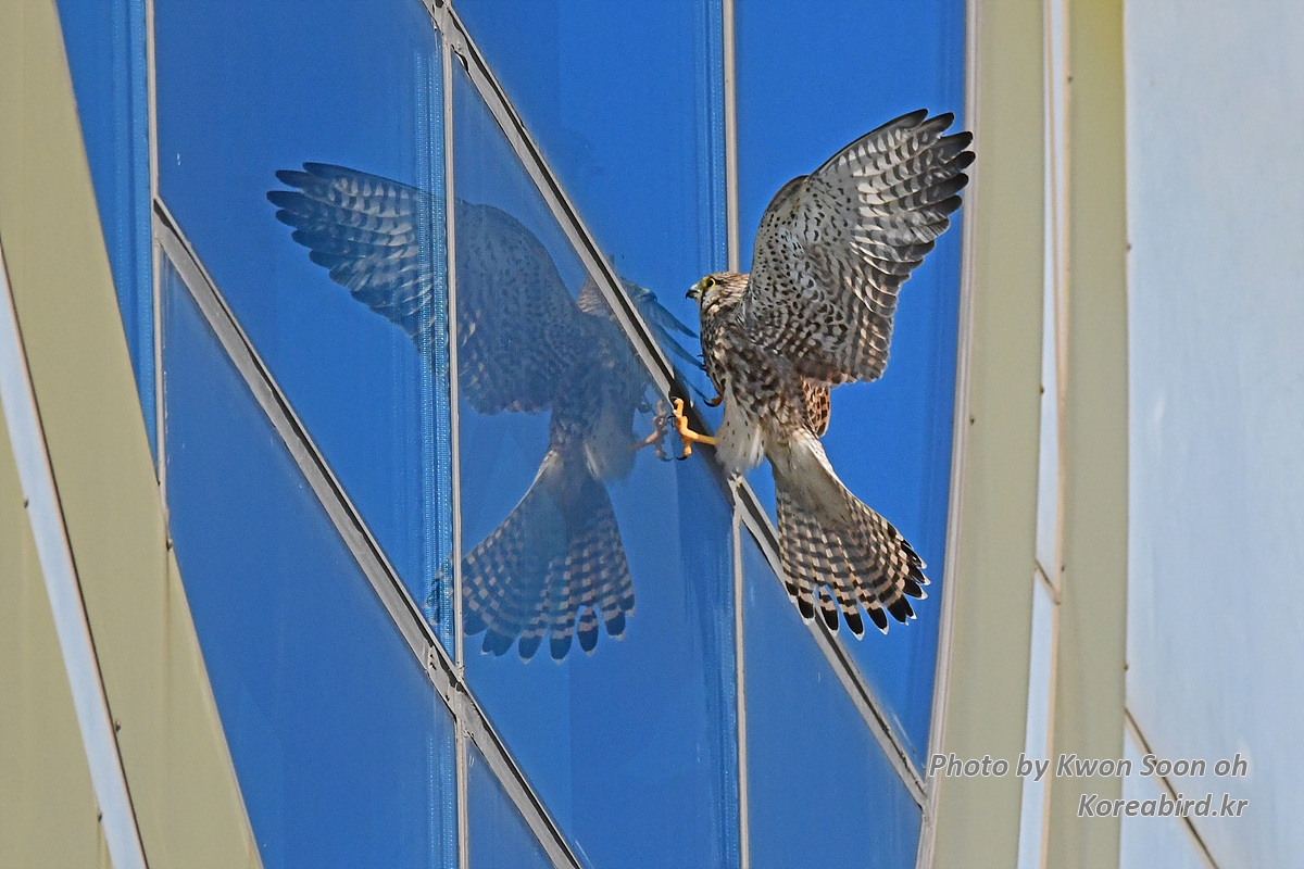 DSC_8568.jpg