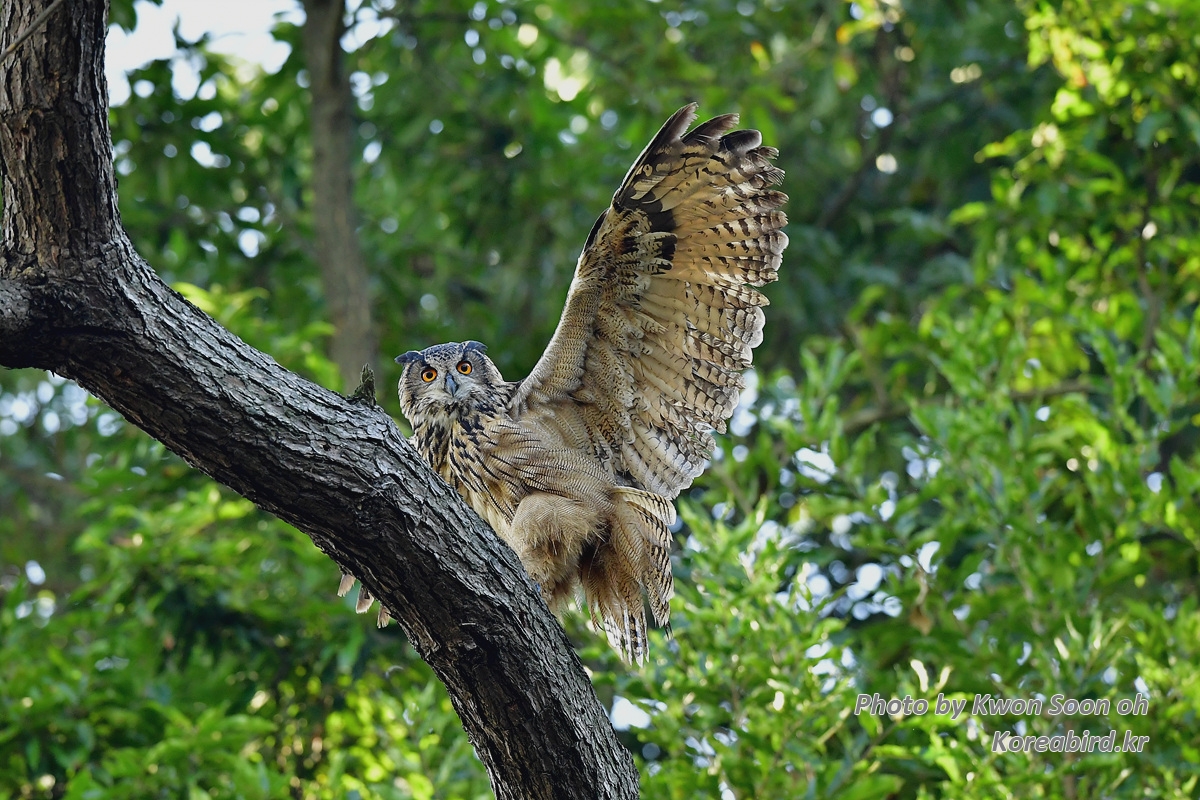 DSC_4779-2.jpg