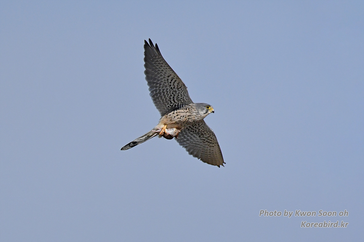 DSC_9459.jpg