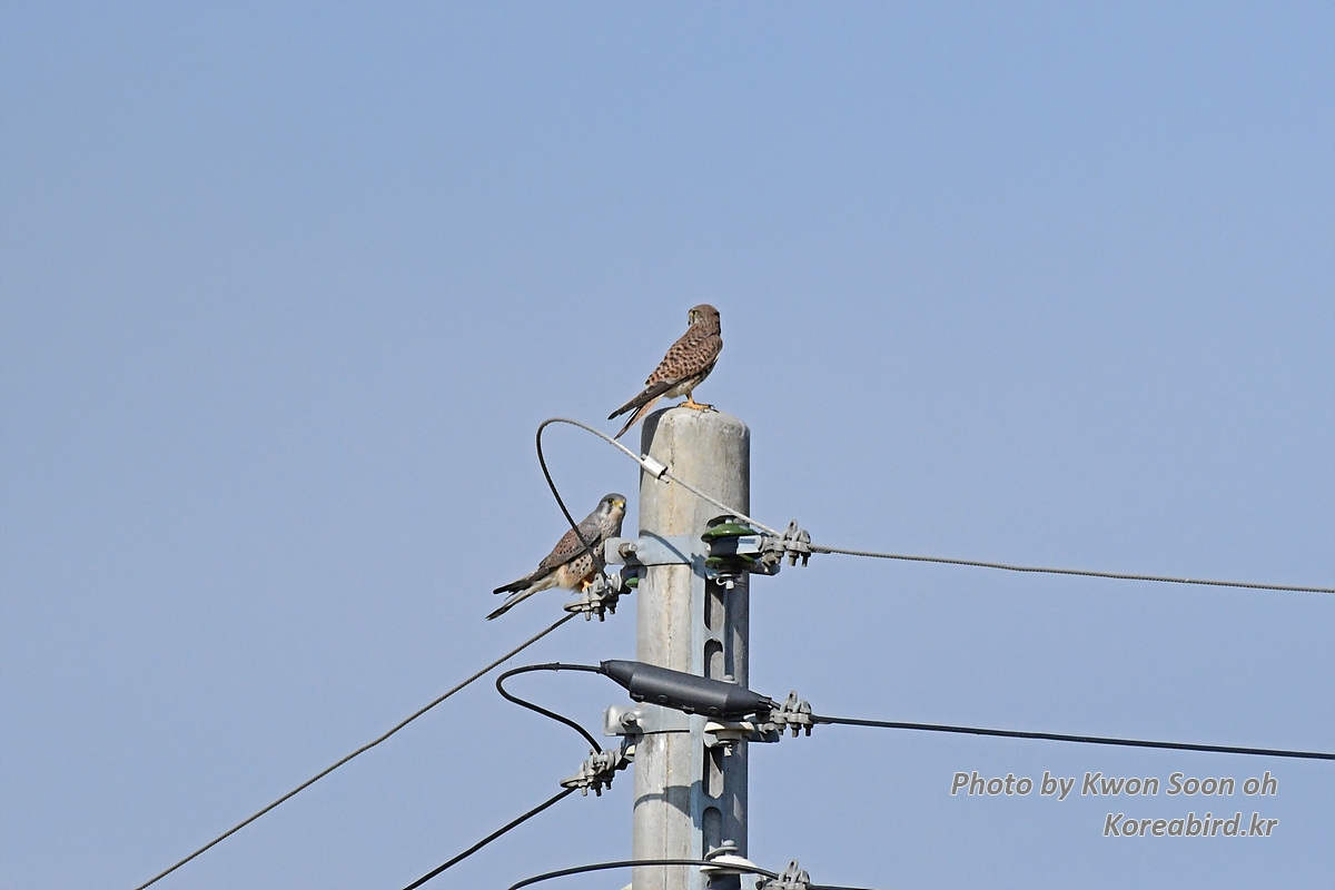 DSC_9283.jpg