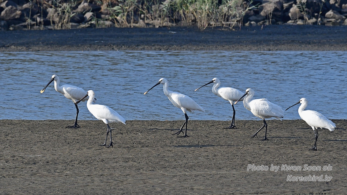 DSC_4028.jpg