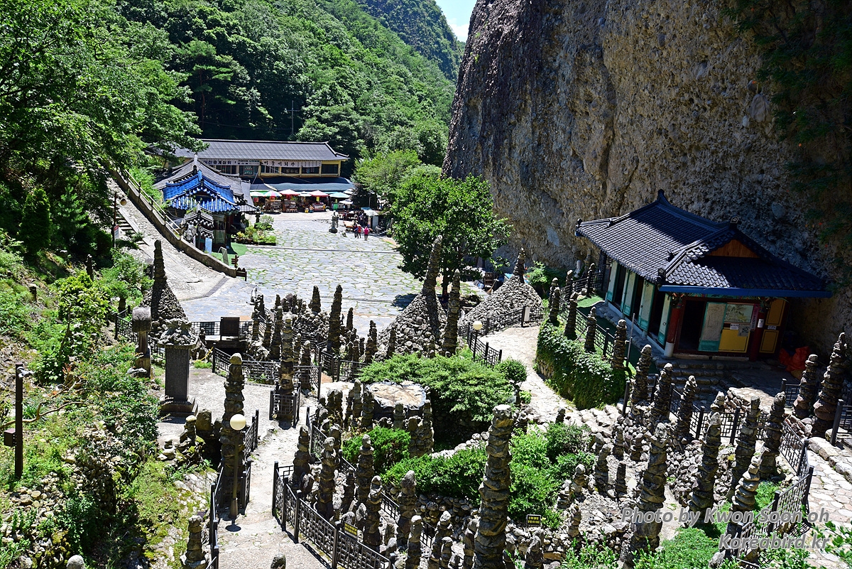 DSC_3395.jpg