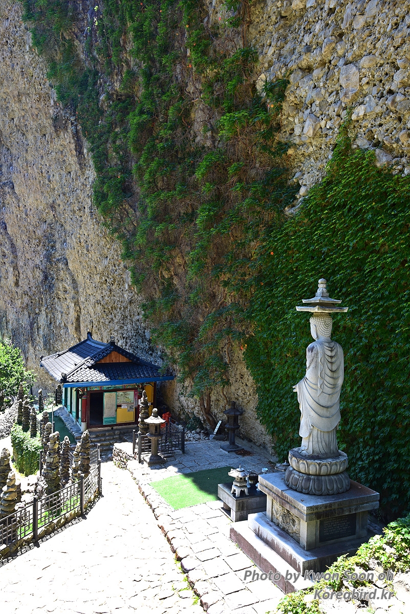 DSC_3408.jpg