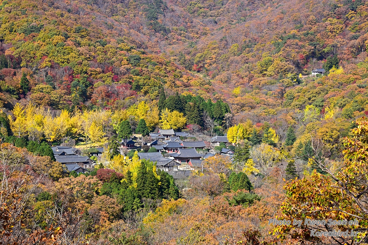 DSC_8510.jpg