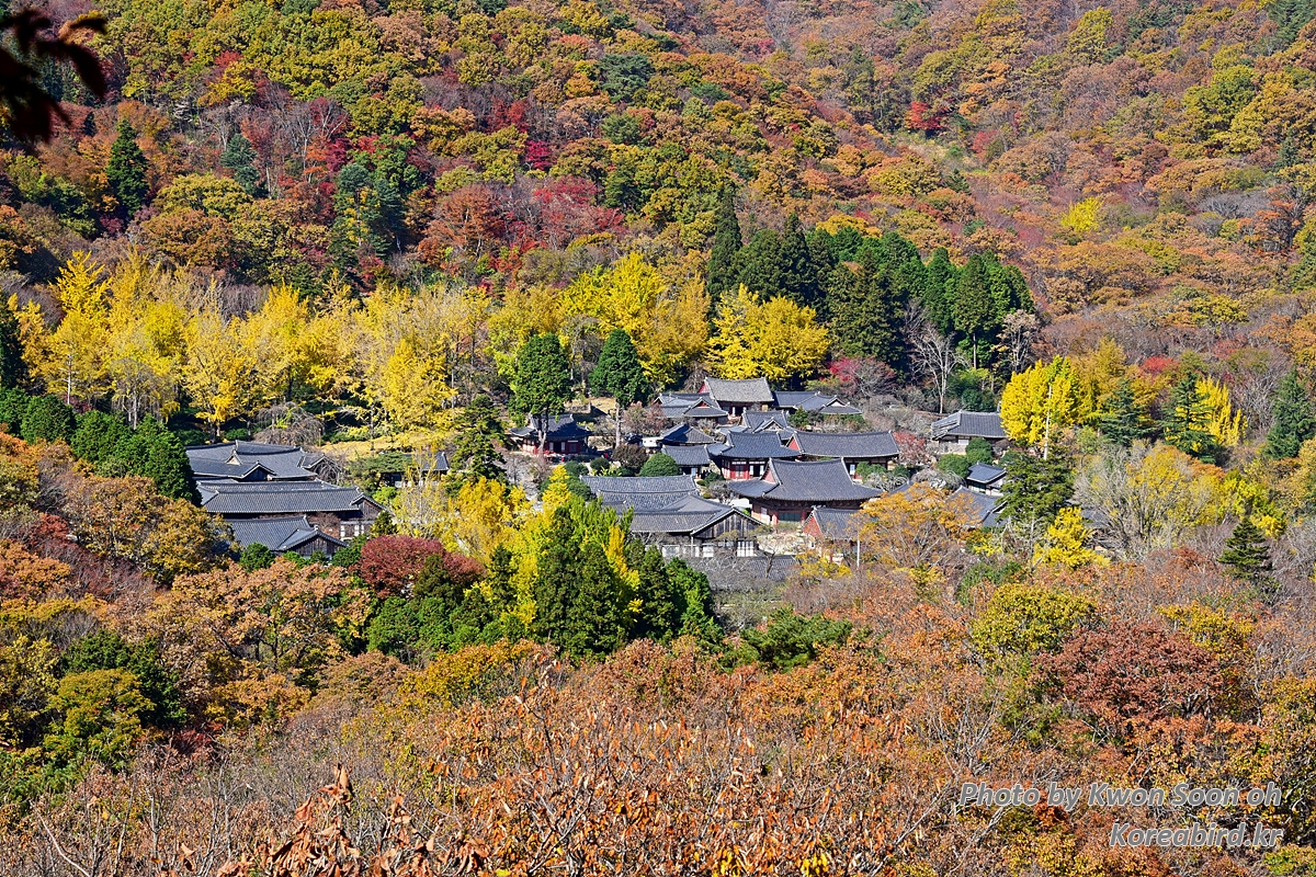 DSC_8513.jpg