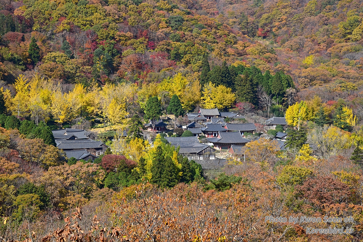 DSC_8526.jpg