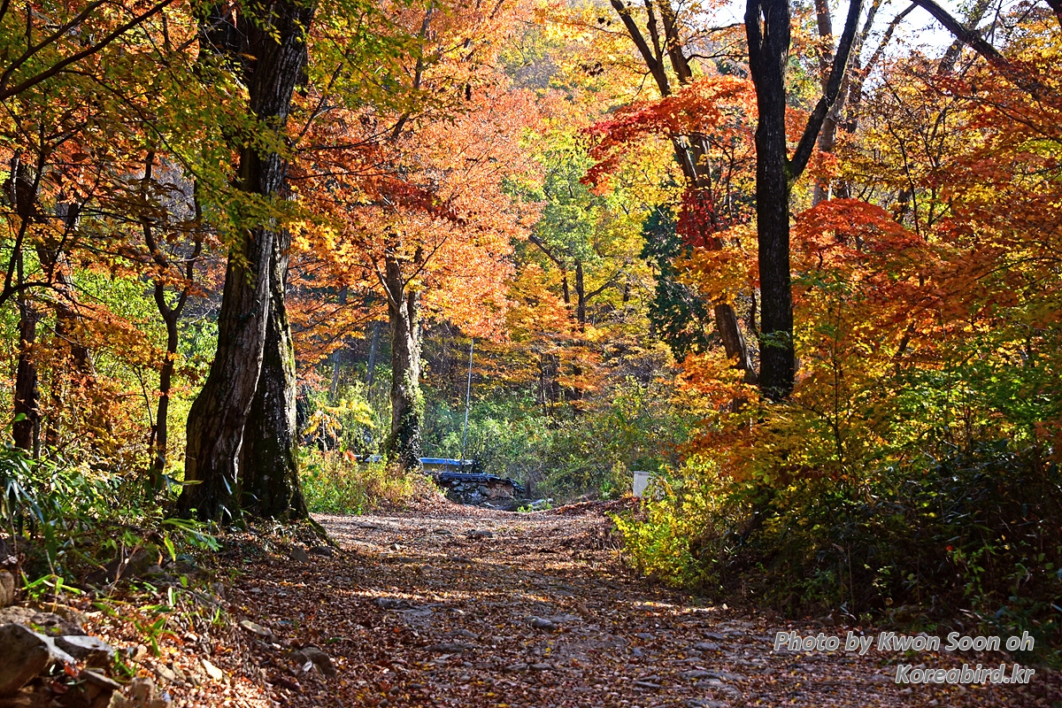 DSC_8619.jpg