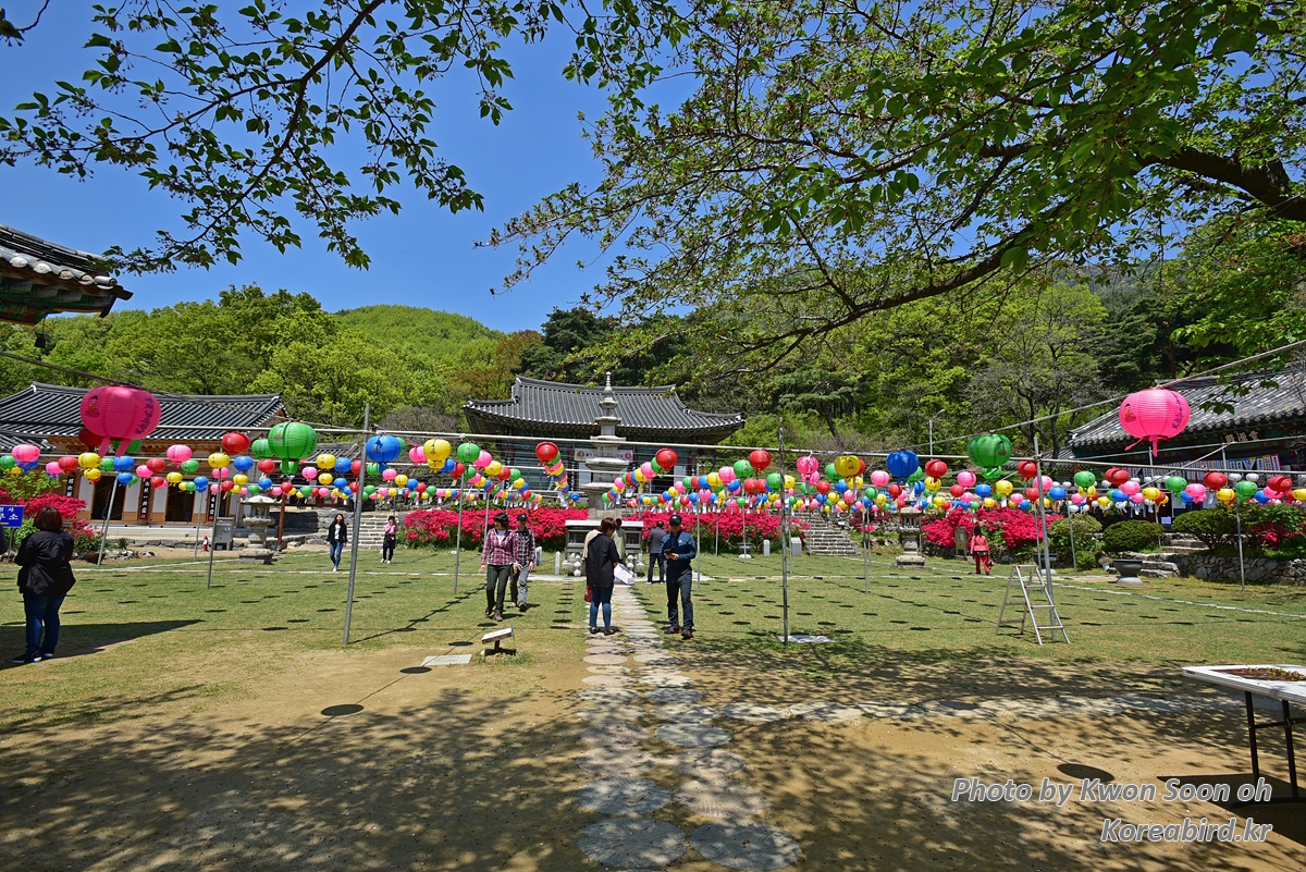 DSC_6939.jpg