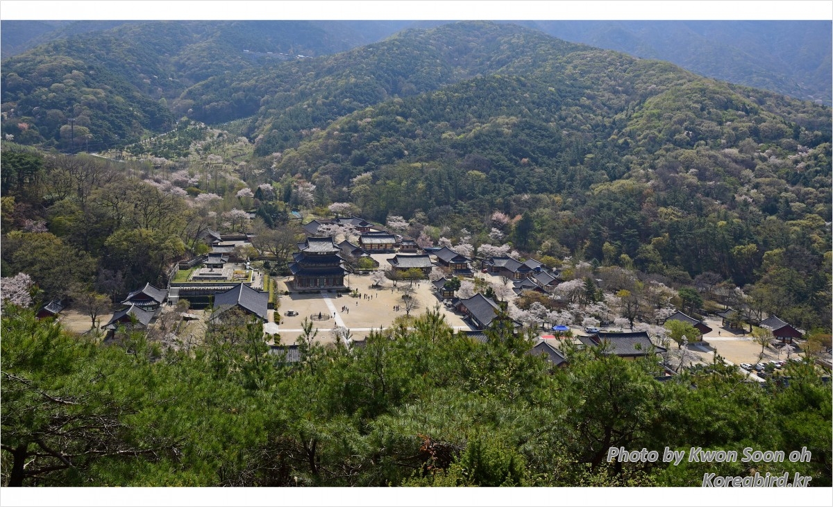 금산사1.jpg