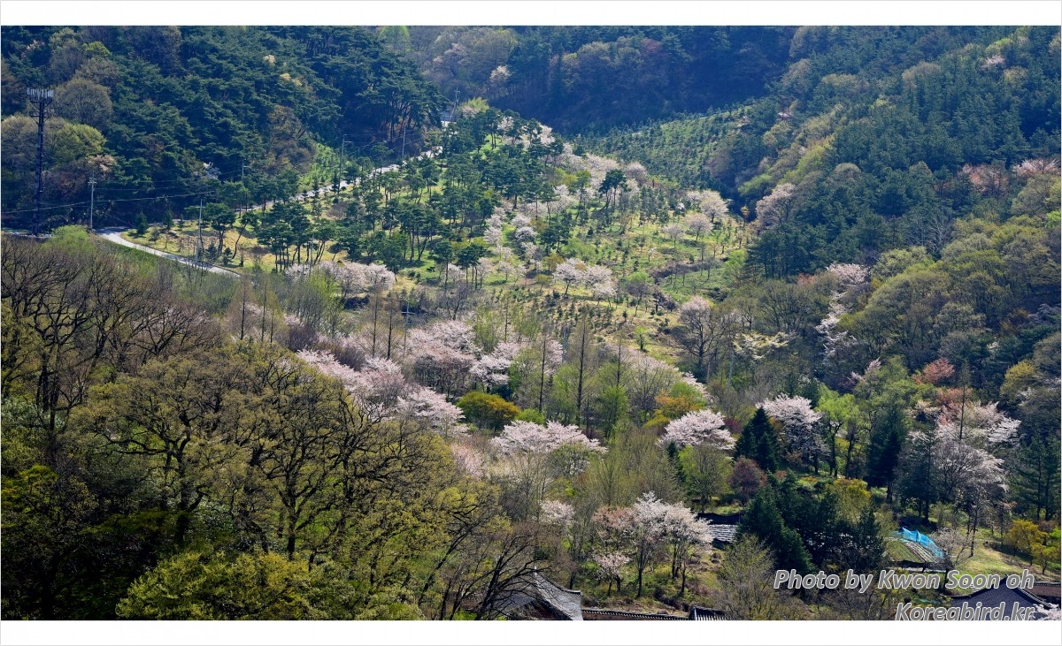 금산사4.jpg