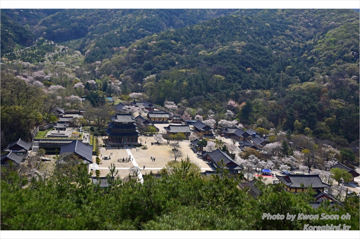 금산사2.jpg