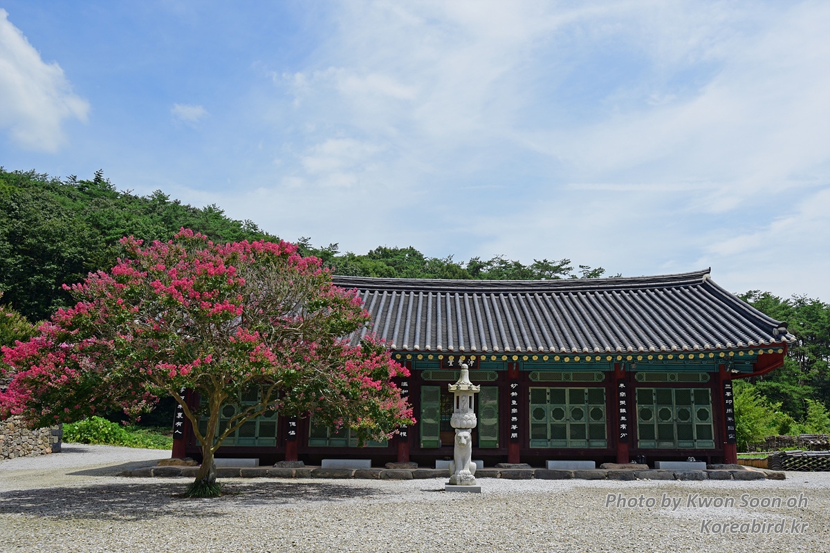 KSO_4897.jpg