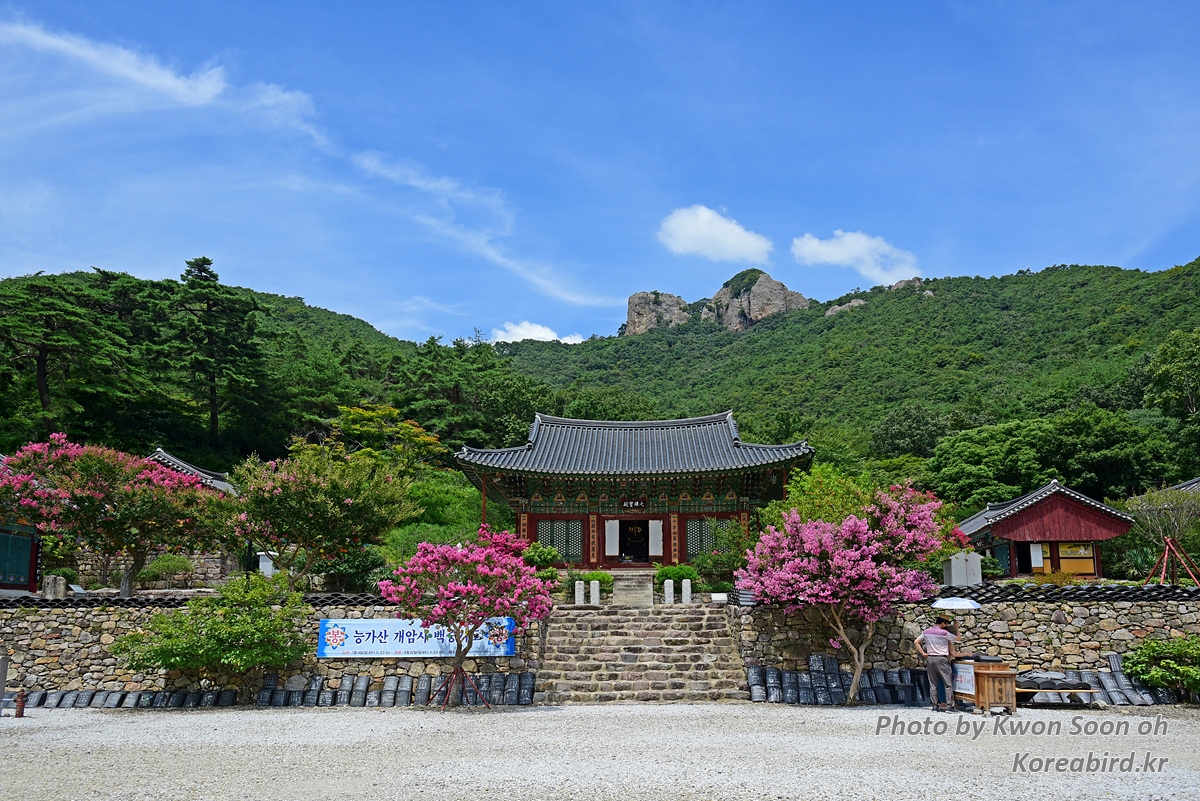 KSO_4890.jpg