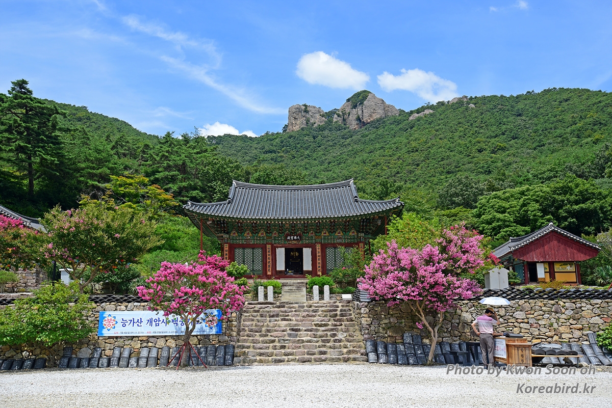 KSO_4892.jpg