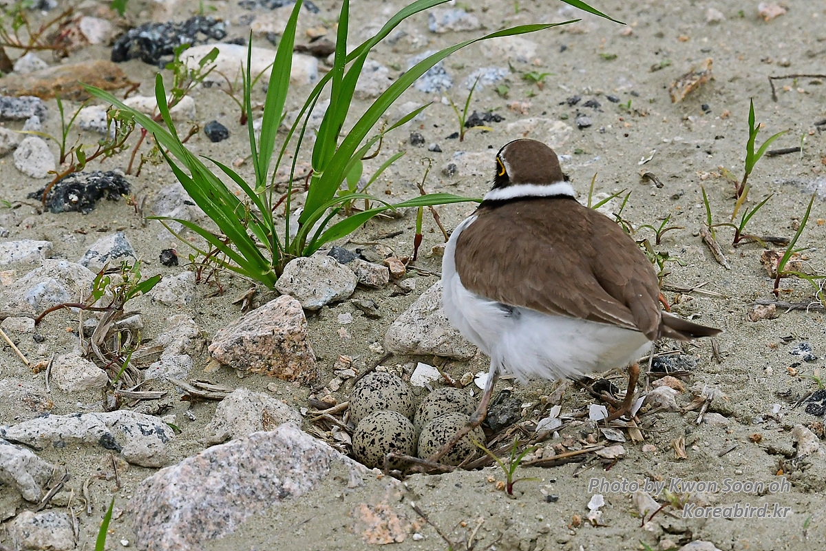 KSO_0114.jpg