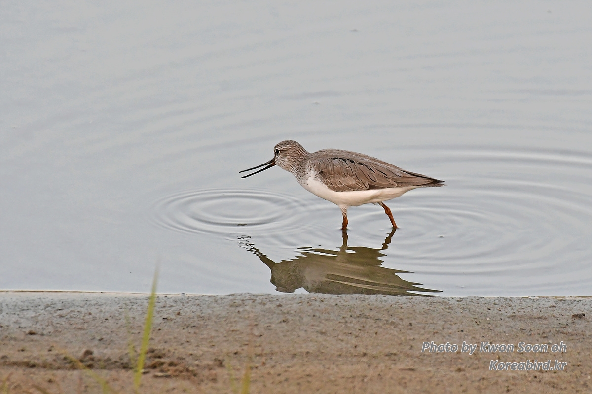 KSO_0588-1.jpg