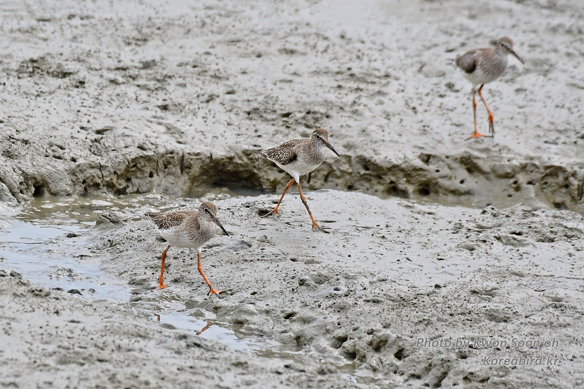 DSC_6499.jpg