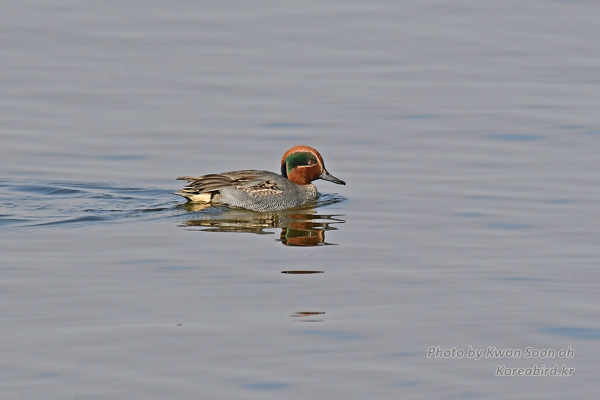 DSC_2510.jpg