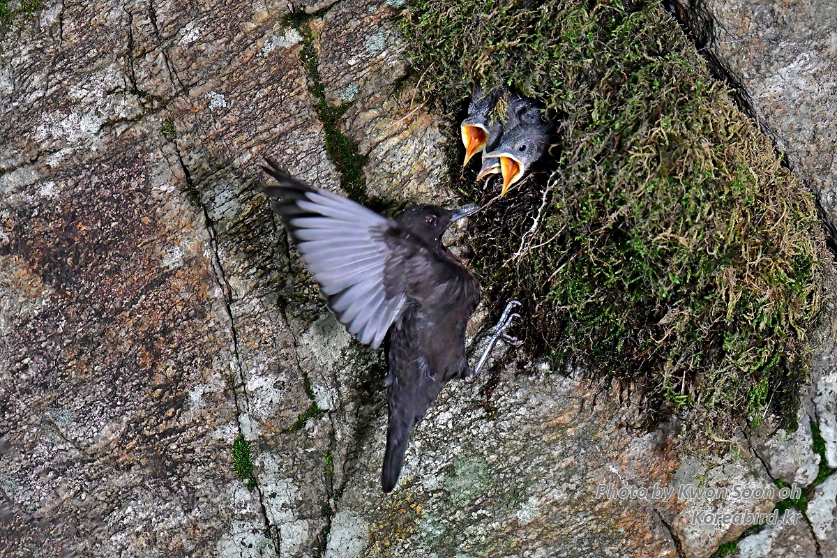 DSC_4316.jpg