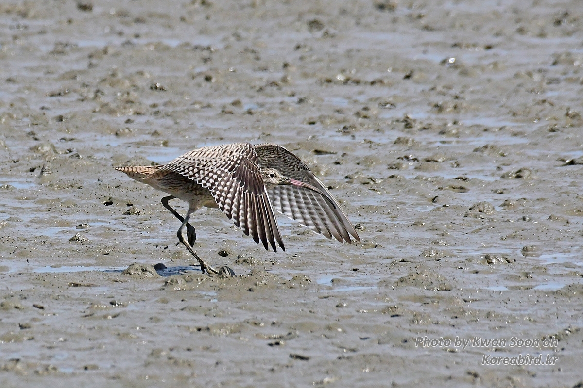 DSC_3394.jpg