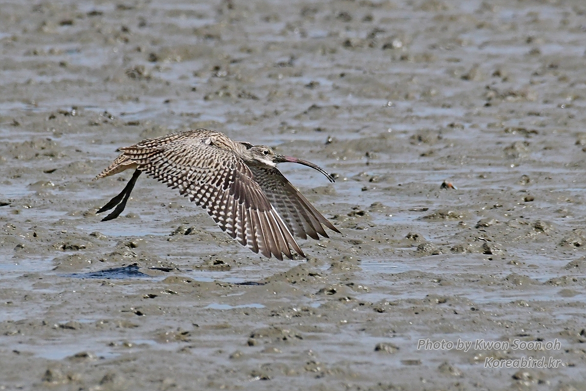 DSC_3396.jpg