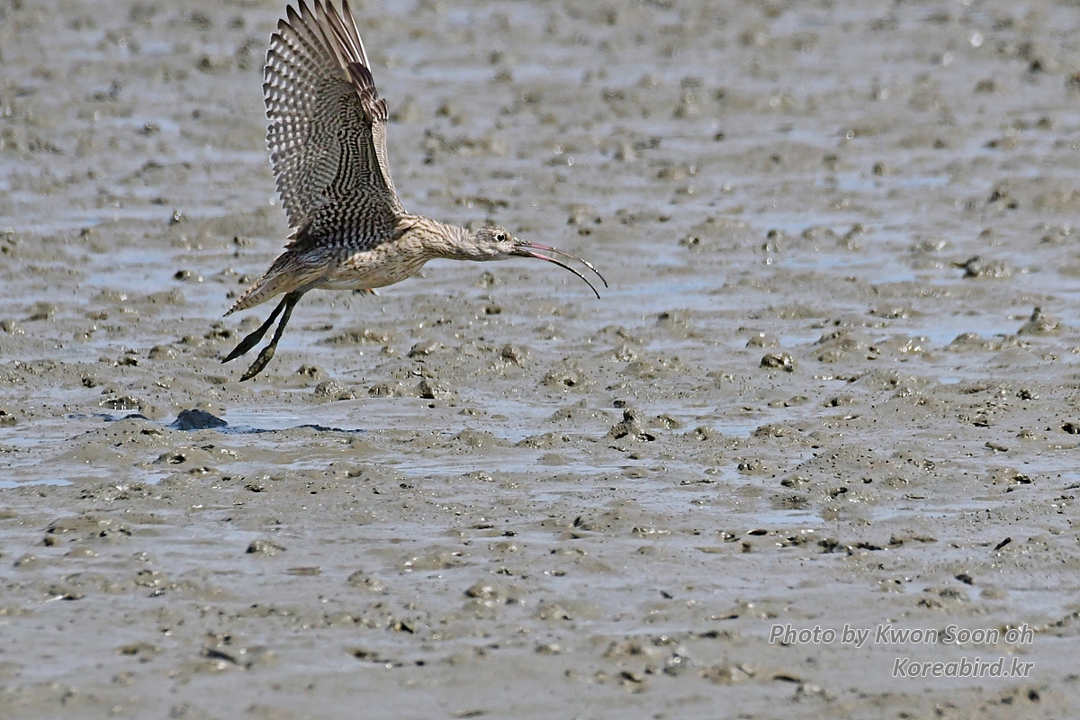 DSC_3397.jpg