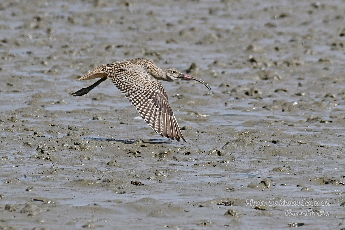 DSC_3400.jpg